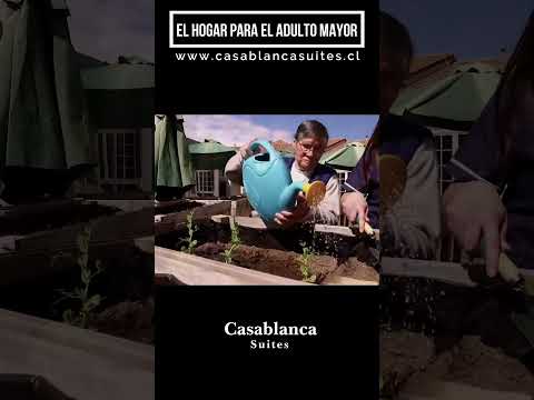 04. A 70 km de Santiago de Chile / Residencia para el Adulto Mayor CasablancaSuites.cl