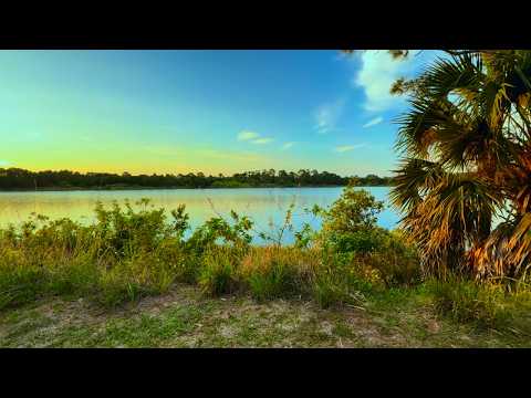 Sanctuary Fort Pierce