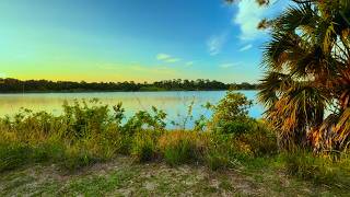Tropical POV: Escape to This Peaceful Florida Sanctuary