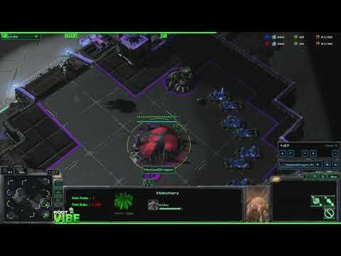 Coaching - Gold B2GM Refinements for Zerg!