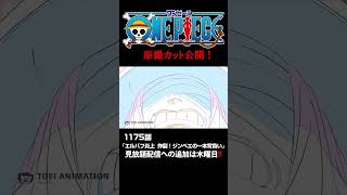 アニメ「#ONEPIECE」見放題配信への追加は木曜日‼️1175話‼️ #onepiece #原撮