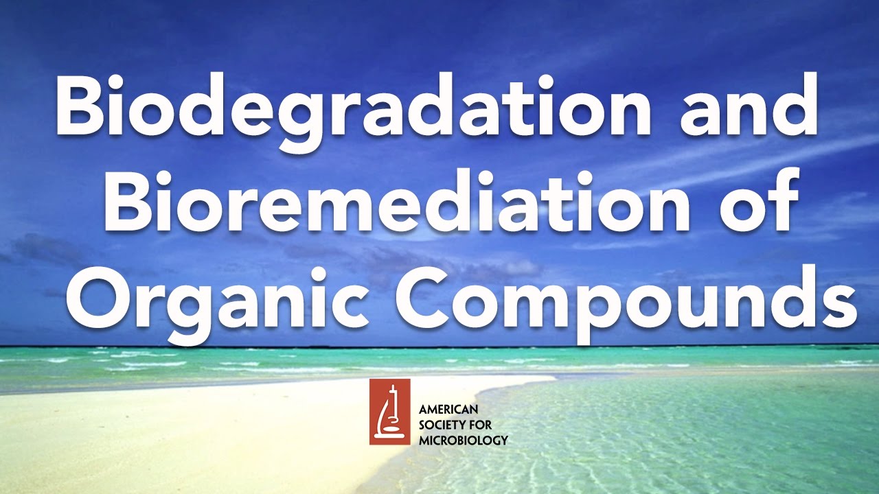 Biodegradation and Bioremediation of Organic Compounds by Lawrence Wackett, PhD