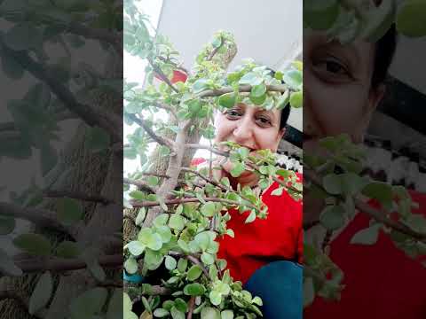 Stay Blessed with Gergous Soul Connection  #love @manjoosinghrana #actress #mumbai #bollywood #music