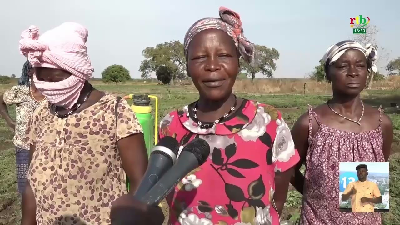 Mois de la Femme : zoom sur les femmes productrices maraîchères de Djikando