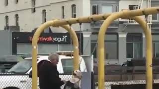 Just an old man pushing his dog on a swing - Very nice