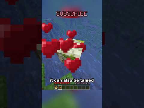 NEW ENCHANTMENT, MOBS, ITEMS, WEAPONS, AND MORE IN THE NEWEST SNAPSHOT