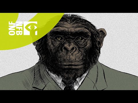 From the Big Bang to Tuesday Morning