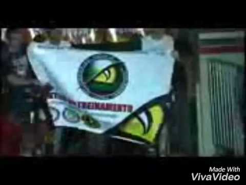 Luta MMA ROF:RODRIGO ZOI