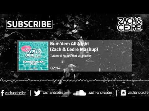 Tujamo & Jacob Plant Vs. Skrillex - Bum'dem All Night (Zach & Cedre Mashup)