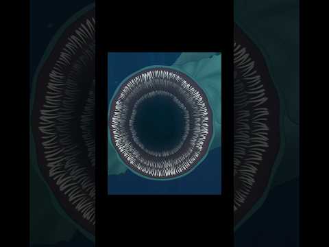 Veridian Sea Eater vs Shin Godzilla Minus One #animation #godzilla #kaiju #godzilla