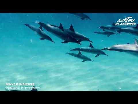 Benya & Shanokee   Spinning in eternity