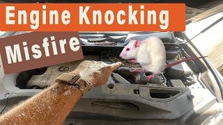 Rats Almost Destroyed This Lexus SUV ~ THE REPAIRS $$$ ~