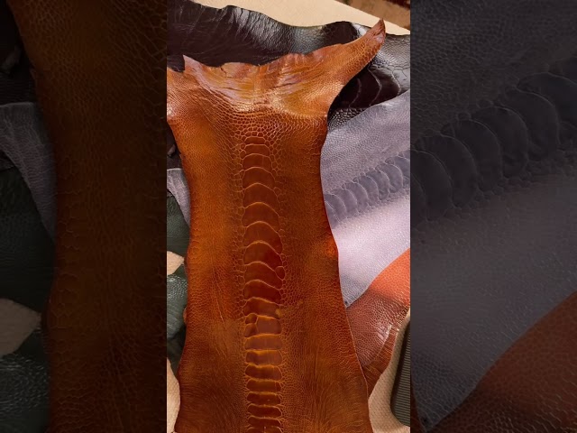 خدمة التفصيل المنزلي من هندمة للحذاء الشرقي