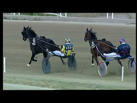 Napoli Trotto 17/09/2021 - 5ª corsa