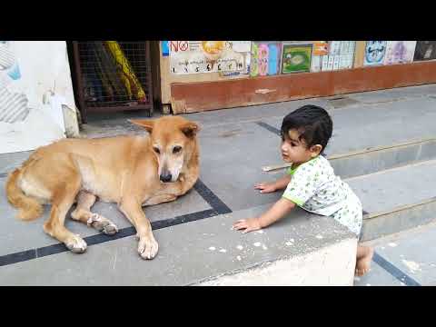 Akshith playing with dog