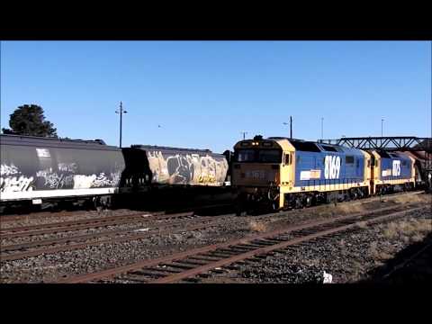 Double 81-class on the 'garbage train'.