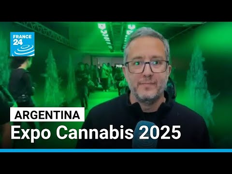 ¿Cómo programar un festival de cine? | SANFIC Industria 2025