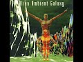 [Full Album] Alien Ambient Galaxy - Bill Laswell ft. Buckethead, Others