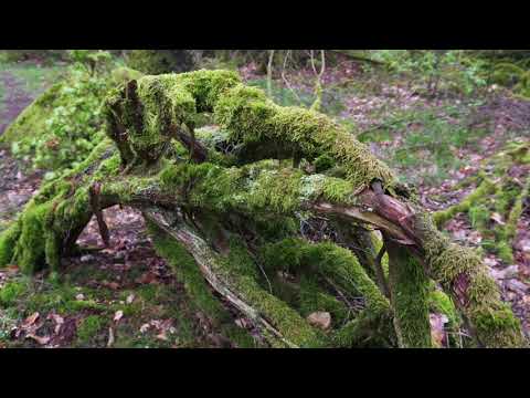 Skåneleden SL2: Dörröd to Blentarp