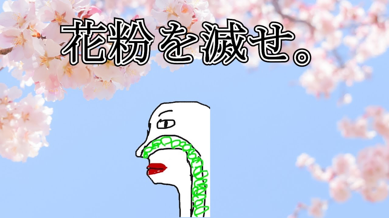 【鼻水フェスティバル開催中】花粉を滅せ。