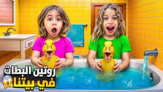 جبت لصفا ولولو بطات حقيقية 😱جنو عليهون /عملنا روتين البطات سبحناهم بالمي😮