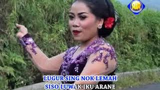 Download lagu Sri Asih - Kembang Kopi | Dangdut ( Music Video) mp3