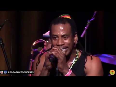 E MANN & DREADLESS LIVE - REJOICE @ BIBELOT DORDRECHT