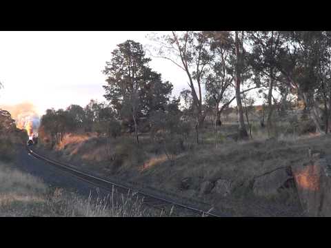 R761 & S313 on Steamrail's weekender put on a show