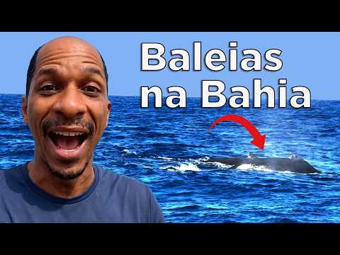 VER BALEIAS JUBARTE NA BAHIA: Guia completo do passeio em PRAIA DO FORTE