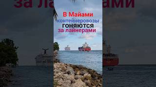 В Майами контейнеровозы гоняются за лайнерами #miami #florida #cruiseship