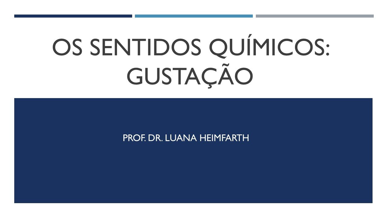 Módulo 1 - Aula 13 Gustação