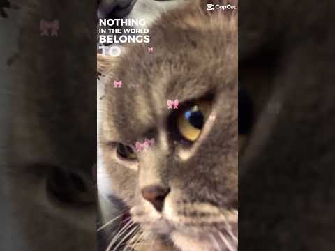 He’s MiNe NoT yOuRs😜🫶