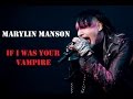 Wirax - OST Max Payne Marilyn Manson - If I Was ...