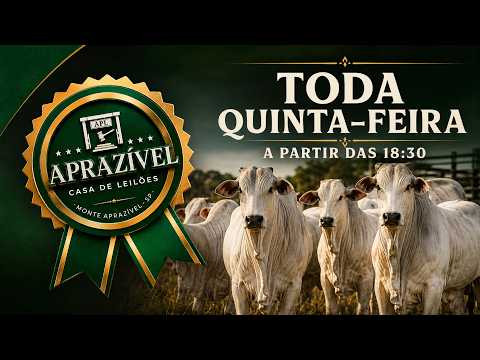 LEILÃO DE GADO - MONTE APRAZÍVEL LEILÕES 13/08/2026