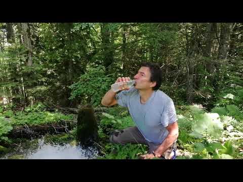 Smilje i bosilje Pitanje