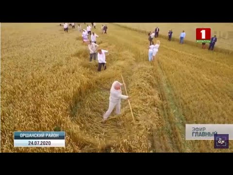 Бешенковичи – потенциал возможностей. Репортаж АТН