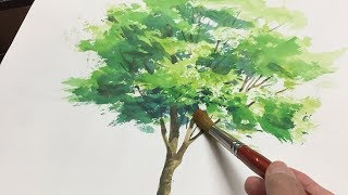 Рисование дерева акварелью 🌳✍️ Приятное и красивое видео