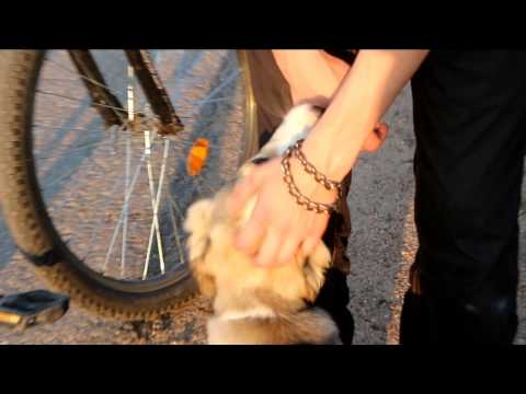 Anya Yudina - cycling