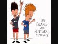 Beavis And Butthead Dumb Ass