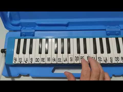 O PULO DA GAITA NA ESCALETA.