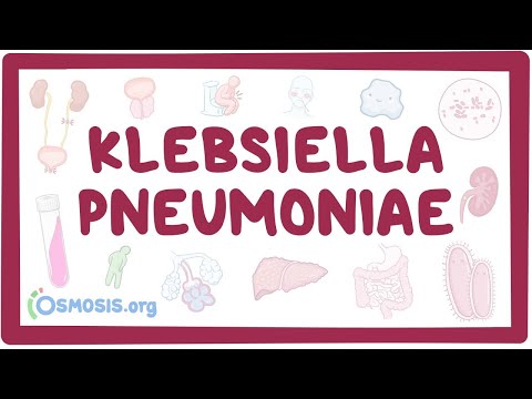 férgek Klebsiella