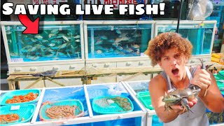 Saving LIVE FISH And ANIMALS From FOREIGN MARKET!