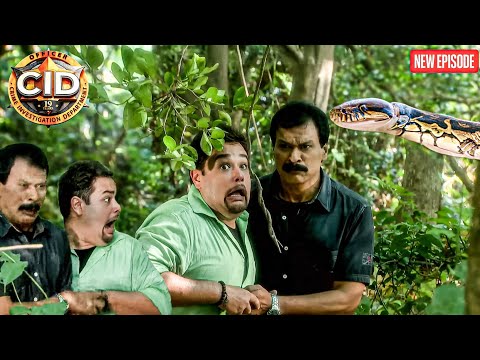 घने जंगल में फँसे Fredy –Pankaj , झाड़ियों से निकला खतरनाक अजगर || CID | Latest Episode ||