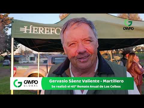 gervasio saenz valiente