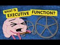 What is Executive Function and Why Do We Need it?