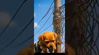 Download lagu #janemerijanemanbachpankapyarmerabhulnahijanare mp3