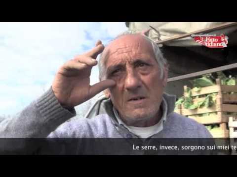 Nel trattamento del cancro alla prostata rimedi popolari Vitaprost Fort acquistare a Kharkov
