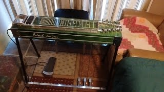 Lil' Em The Redneck Pedal Steel Guitar