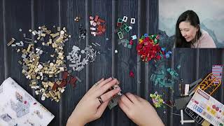 SUPRISE I'M BACK -- LOZ building & chill