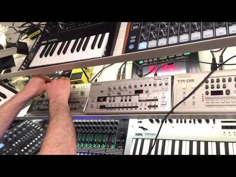 The Pulse (Roland AIRA TR-8 Boutique TR-09 & TB-03 Cyclone TT-303 Korg Monologue & Minilogue)